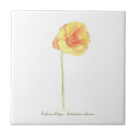 California Poppy Stone Untersetzer