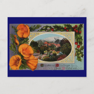 California Poppy Vintage Weihnachten
