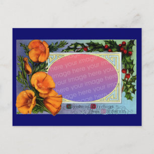 California Poppy Vintage Weihnachtsrahmen Feiertagspostkarte