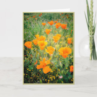 California Poppy's Karte