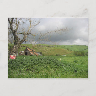 California Postcard - Gilroy, Kalifornien Postkarte