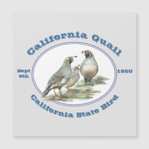 California Quai California Staat Bird Water color Magnetkarte