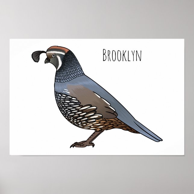 California quail bird cartoon illustration  poster (Vorne)