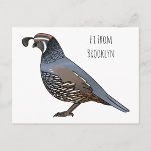 California quail bird cartoon illustration postkarte