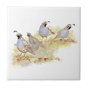 California Quail Bird Familienart Fliese