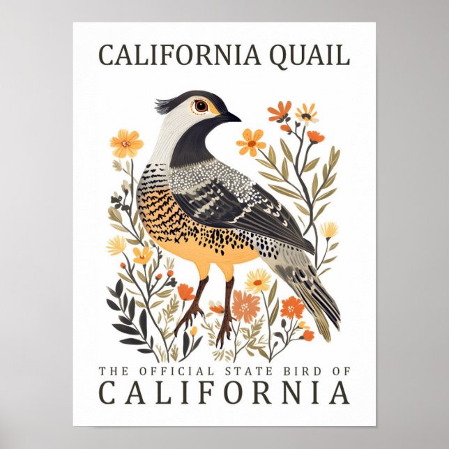 California Quail Bird of California USA Travel Poster (Vorne)