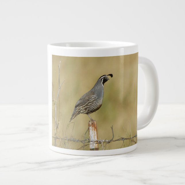 California Quail Jumbo-Tasse (Vorderseite Rechts)