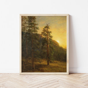 California Redwoods   Albert Bierstadt Poster