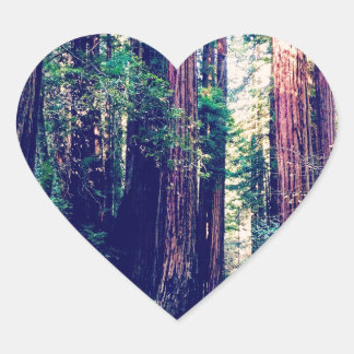 California Redwoods Herz-Aufkleber