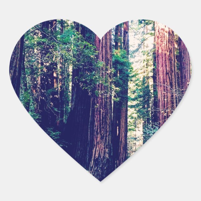 California Redwoods Herz-Aufkleber (Vorderseite)