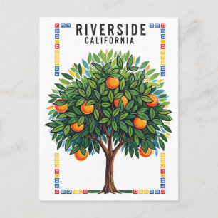 California Riverside Orange Tree Postkarte