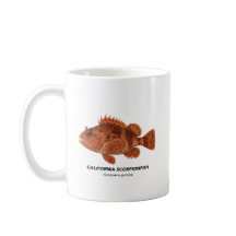 California Scorpionfish - Meerestiere in Kaliforni