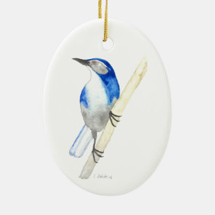 California Scrub Jay Keramikornament