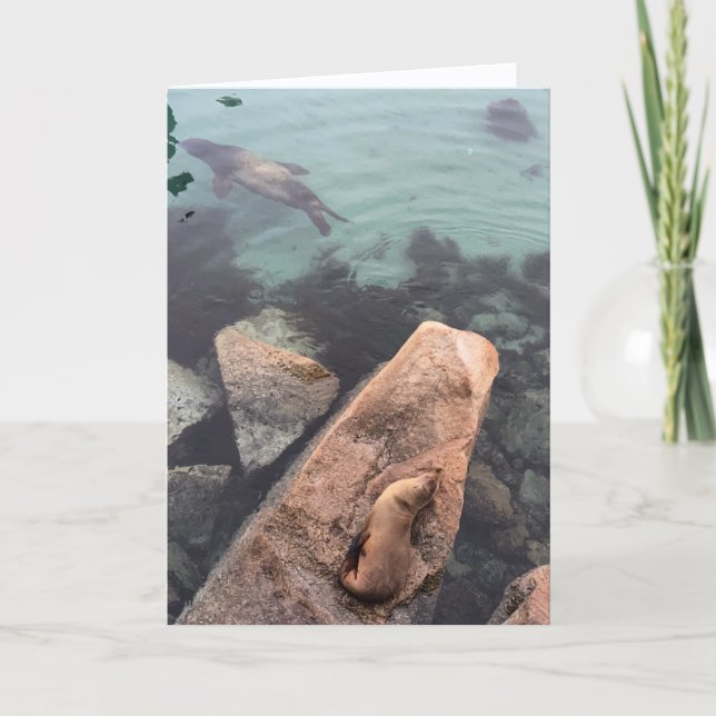 california sea life greeting card (blank inside)  karte (Vorderseite)