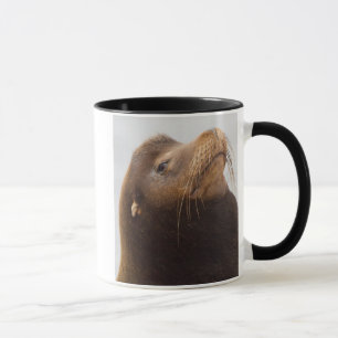 California Sea Lion Tasse