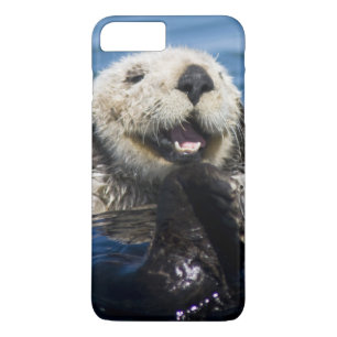 California Sea Otter Enhydra lutris) grooms iPhone 8 Plus/7 Plus Hülle