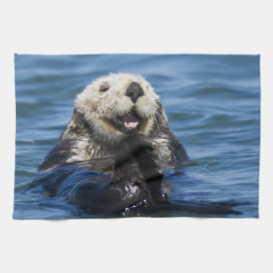 California Sea Otter Enhydra lutris) grooms Geschirrtuch