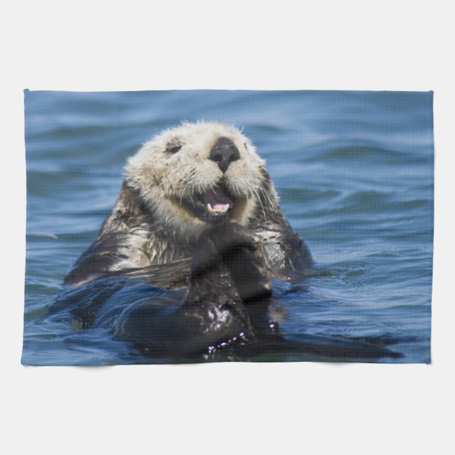 California Sea Otter Enhydra lutris) grooms Geschirrtuch (Horizontal)