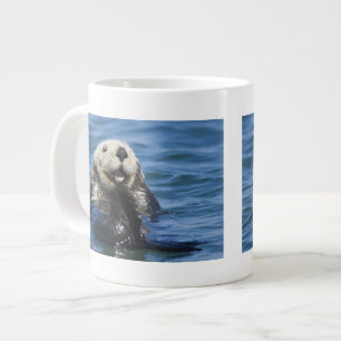 California Sea Otter Enhydra lutris) grooms Jumbo-Tasse
