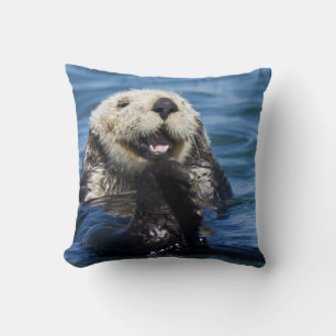 California Sea Otter Enhydra lutris) grooms Kissen