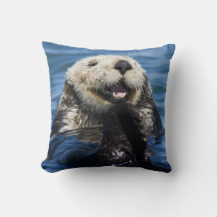 California Sea Otter Enhydra lutris) grooms Kissen