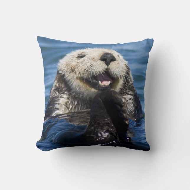 California Sea Otter Enhydra lutris) grooms Kissen (Vorderseite)