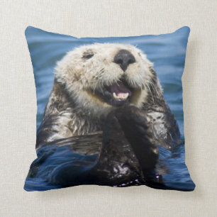 California Sea Otter Enhydra lutris) grooms Kissen