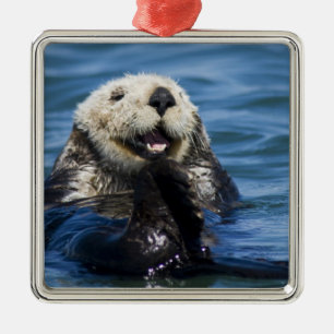 California Sea Otter Enhydra lutris) grooms Ornament Aus Metall