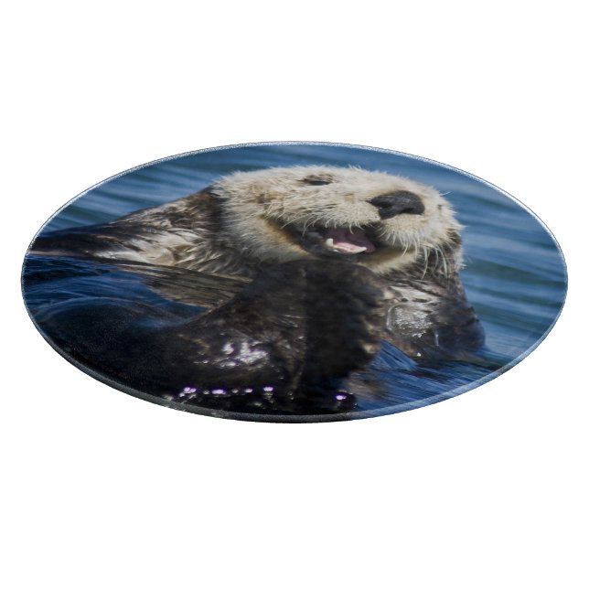California Sea Otter Enhydra lutris) grooms Schneidebrett (Ecke)