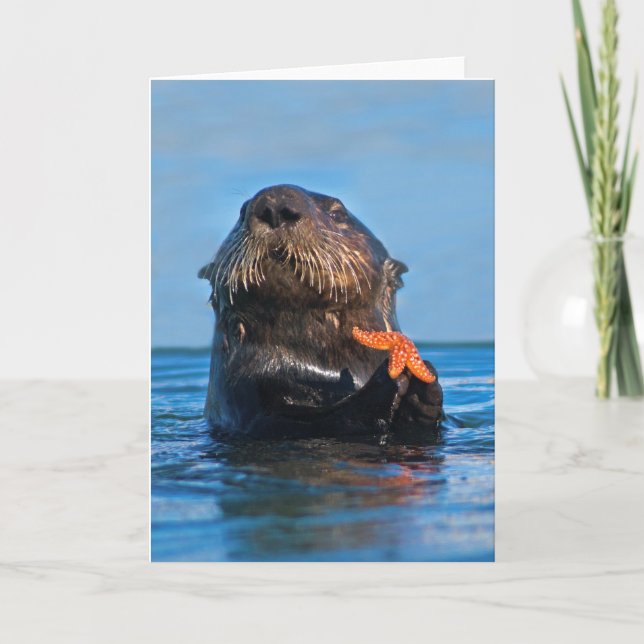 California Sea Otter Holding Starfish Karte (Vorderseite)