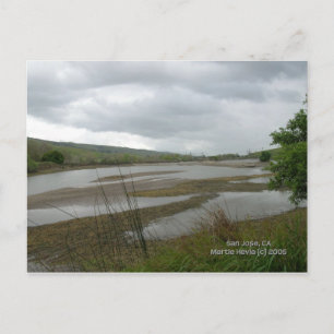 California Seasons - Coyote Creek Postkarte