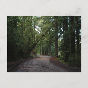California Seasons - Redwoods Road - Postcard Postkarte