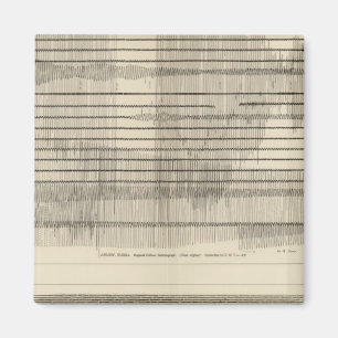 California Seismogramm 10 Magnet