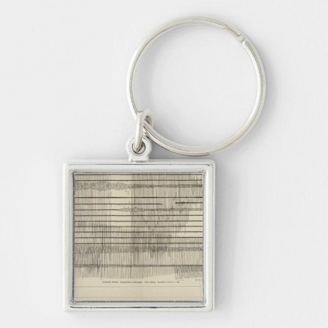 California Seismogramm 10 Schlüsselanhänger (Vorne)