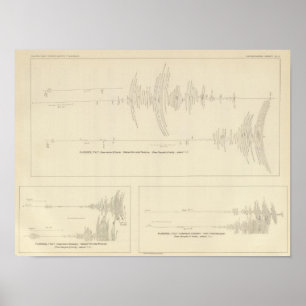 California Seismogramme 6 Poster