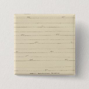 California Seismos 4 Button