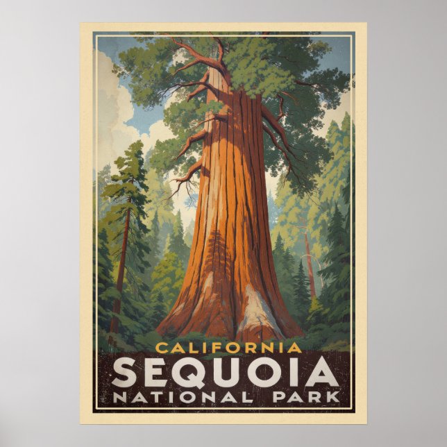 California Sequoia Nationalpark V01 Poster (Vorne)