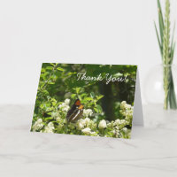 California Sister Butterfly Danke Karte