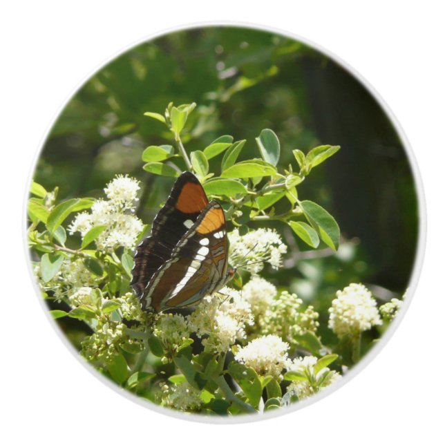 California Sister Butterfly in Yosemite Keramikknauf (Vorderseite)