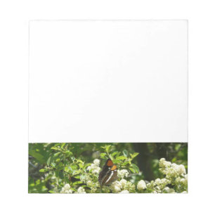 California Sister Butterfly in Yosemite Notizblock