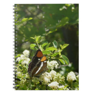 California Sister Butterfly in Yosemite Notizblock