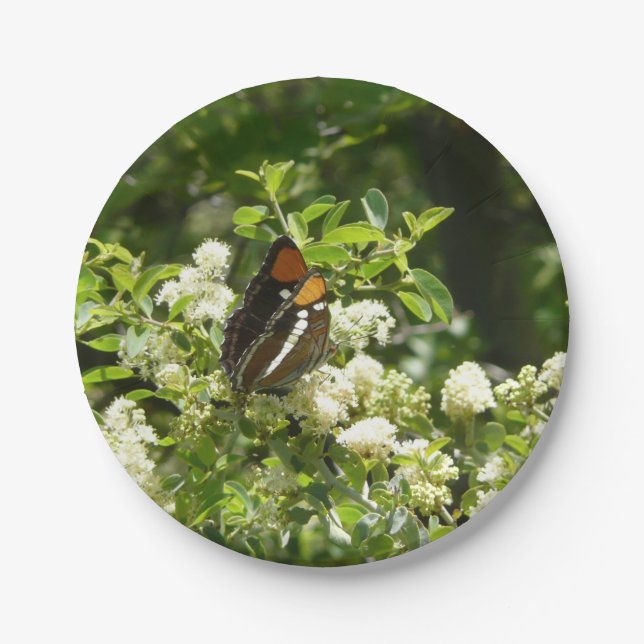 California Sister Butterfly in Yosemite Pappteller (Vorderseite)