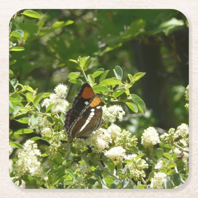 California Sister Butterfly in Yosemite Rechteckiger Pappuntersetzer (Vorderseite)