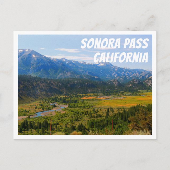 California SR 108 Sonora Pass Postkarte (Vorderseite)