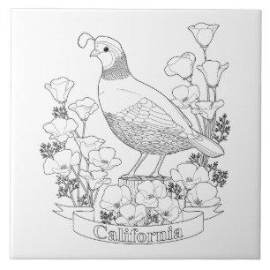 California Staat Bird and Blume Coloring Page Fliese