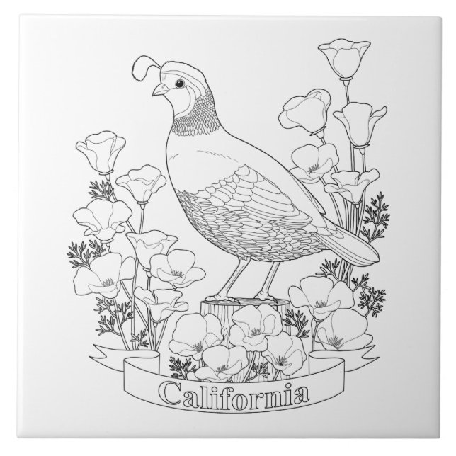 California Staat Bird and Blume Coloring Page Fliese (Vorderseite)