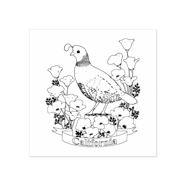 California Staat Bird and Blume Coloring Page Gummistempel (Prägung)