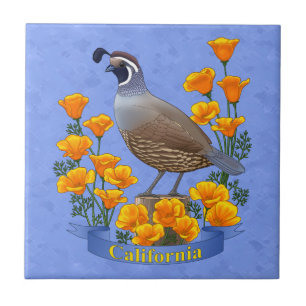 California Staat Bird Quail & Golden Poppy Fliese