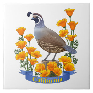 California Staat Bird Quail & Golden Poppy Fliese