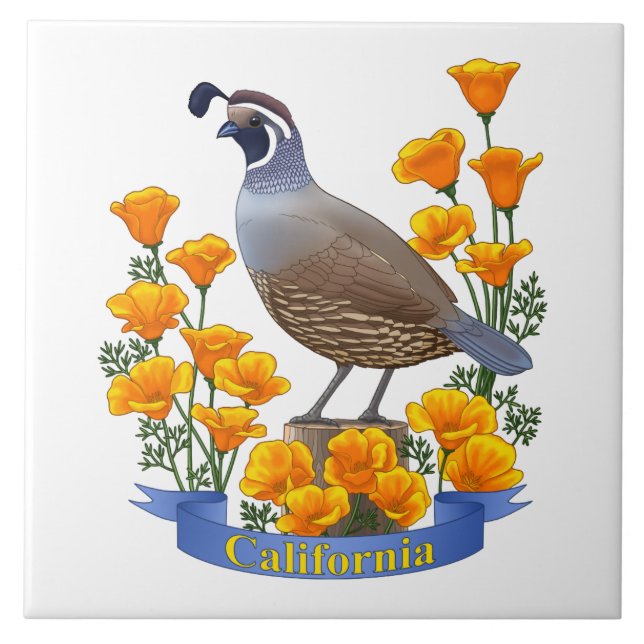 California Staat Bird Quail & Golden Poppy Fliese (Vorderseite)
